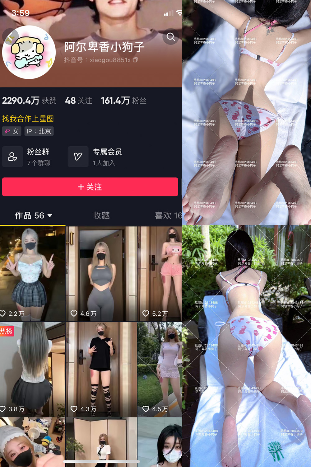 阿尔卑香小狗子 微密圈 NO.060期 【17P】最新至:2025.2.8 阿尔卑香小狗子 微密圈 NO.060期 【17P】最新至:2025.2.8