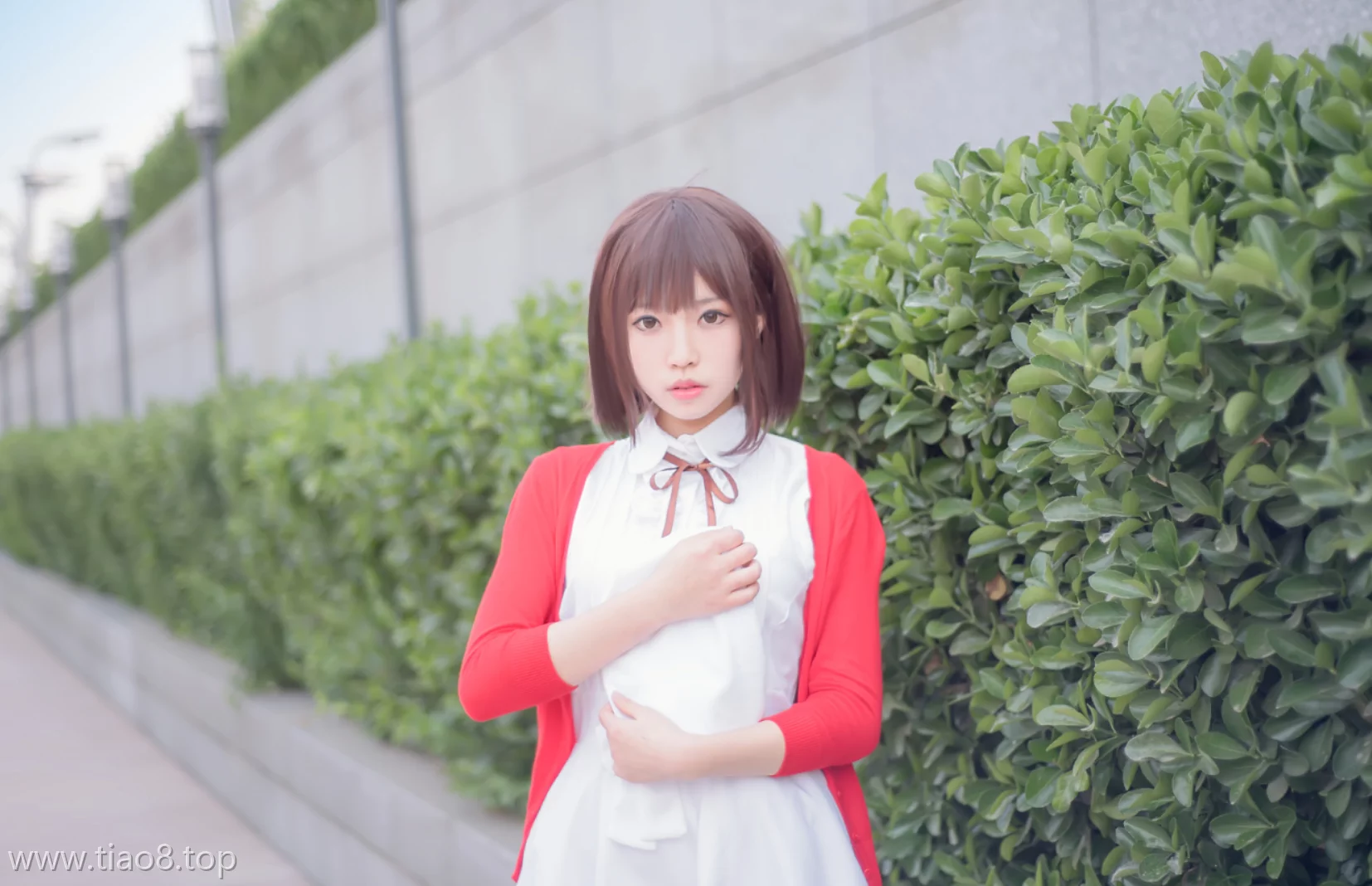 图片欣赏丨Coser白易子教主:NO.013-加藤惠[12P-186MB]在线观看资料