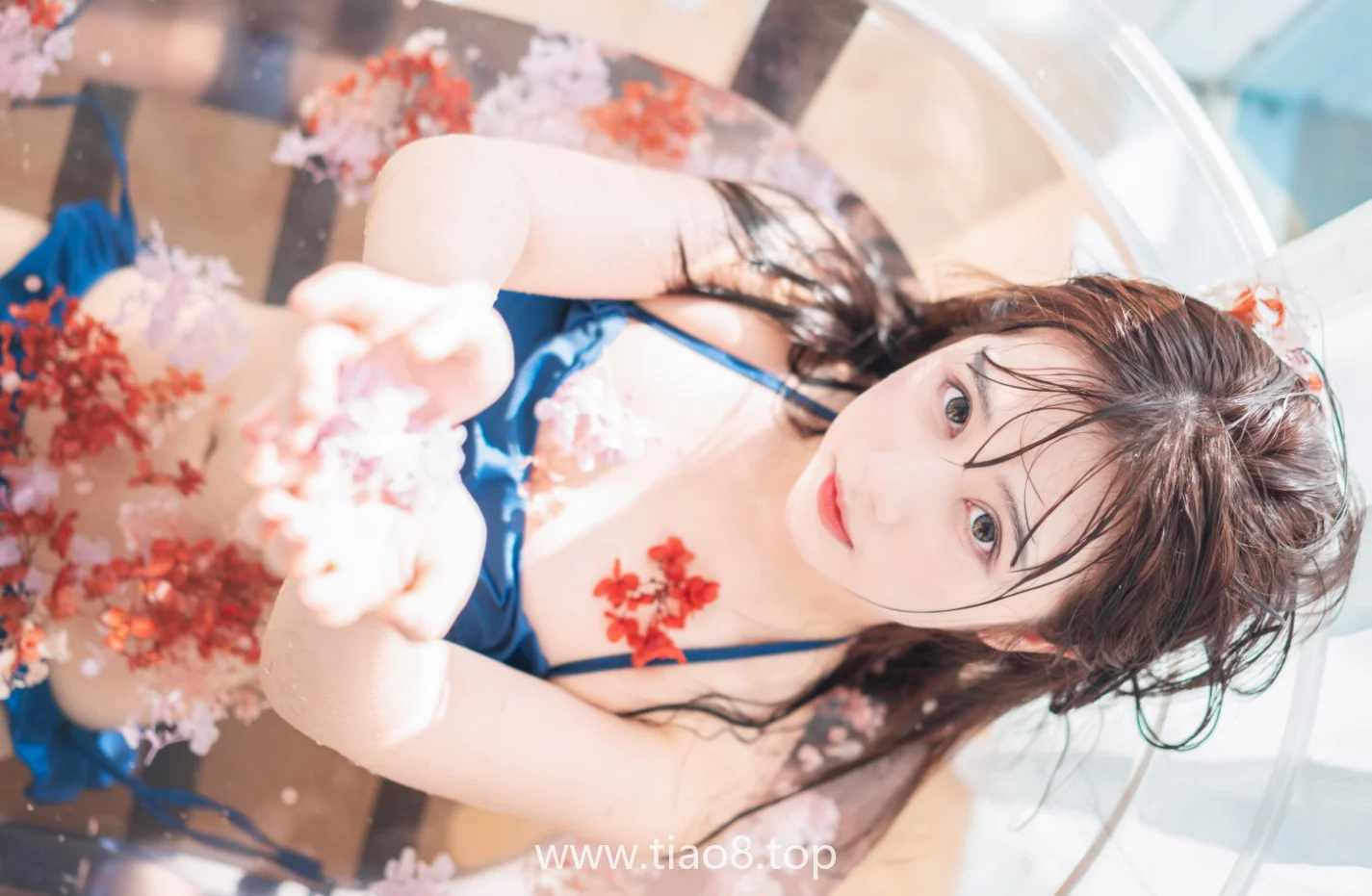 图片欣赏丨Coser镜酱:NO.013- 私奔 泳衣[61P-899MB]在线观看资料