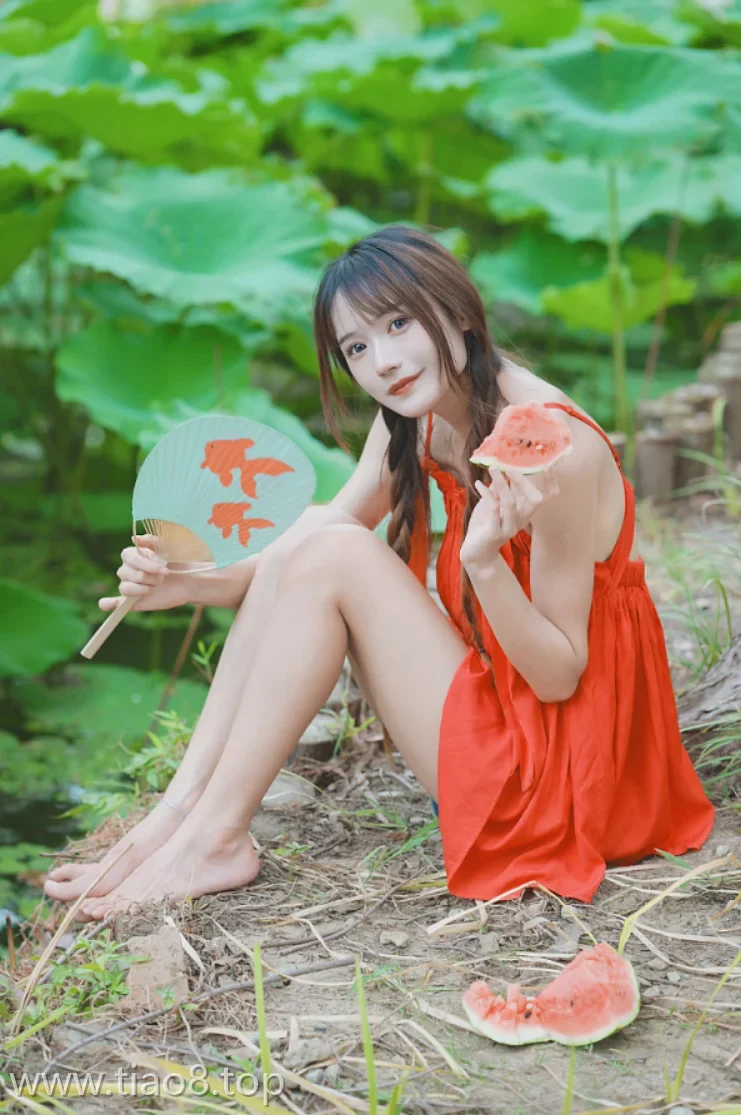 图片欣赏丨Coser兔子Zzz不吃胡萝卜:NO.0158-夏日香气[30P-202.5M]在线观看资料